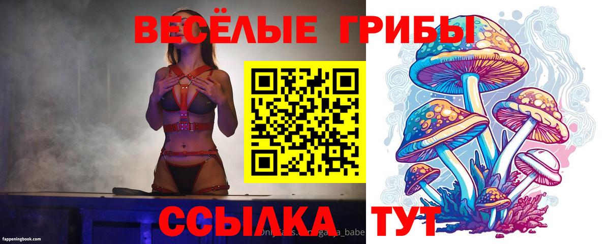 купить  цена  Псилоцибиновые грибы мухоморы  Псилоцибиновые грибы прущие грибы  Вход с VPN  Ишим 