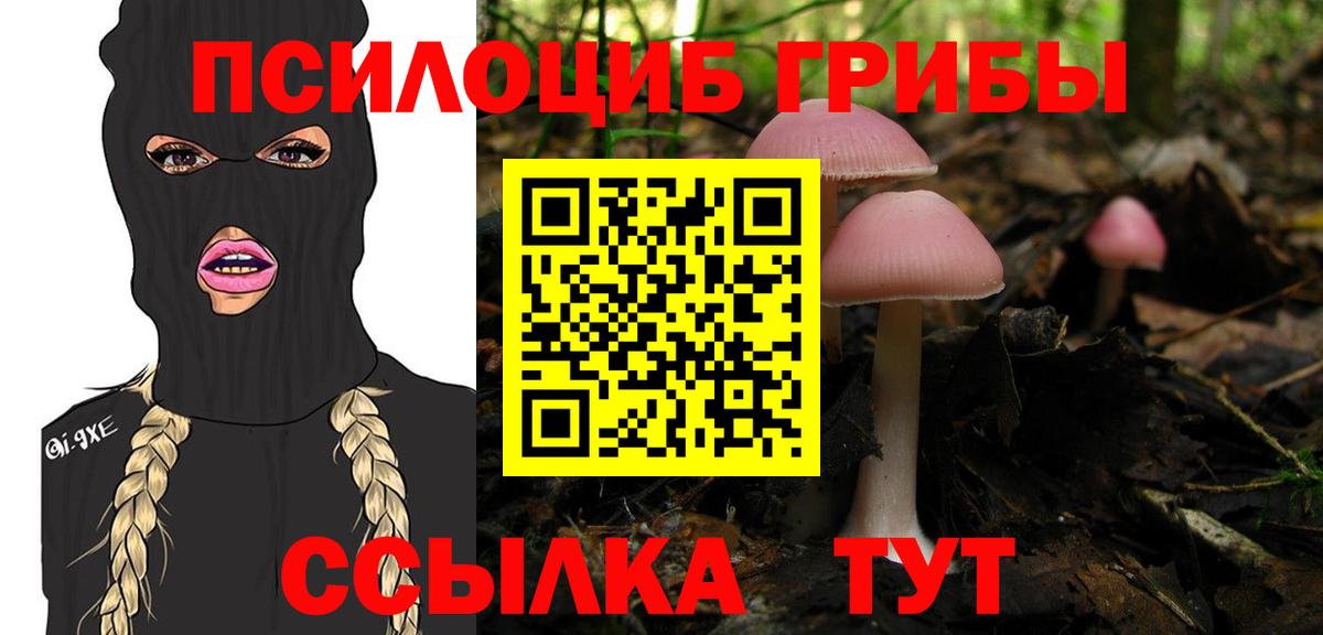 Галлюциногенные грибы Psilocybine cubensis Ишим